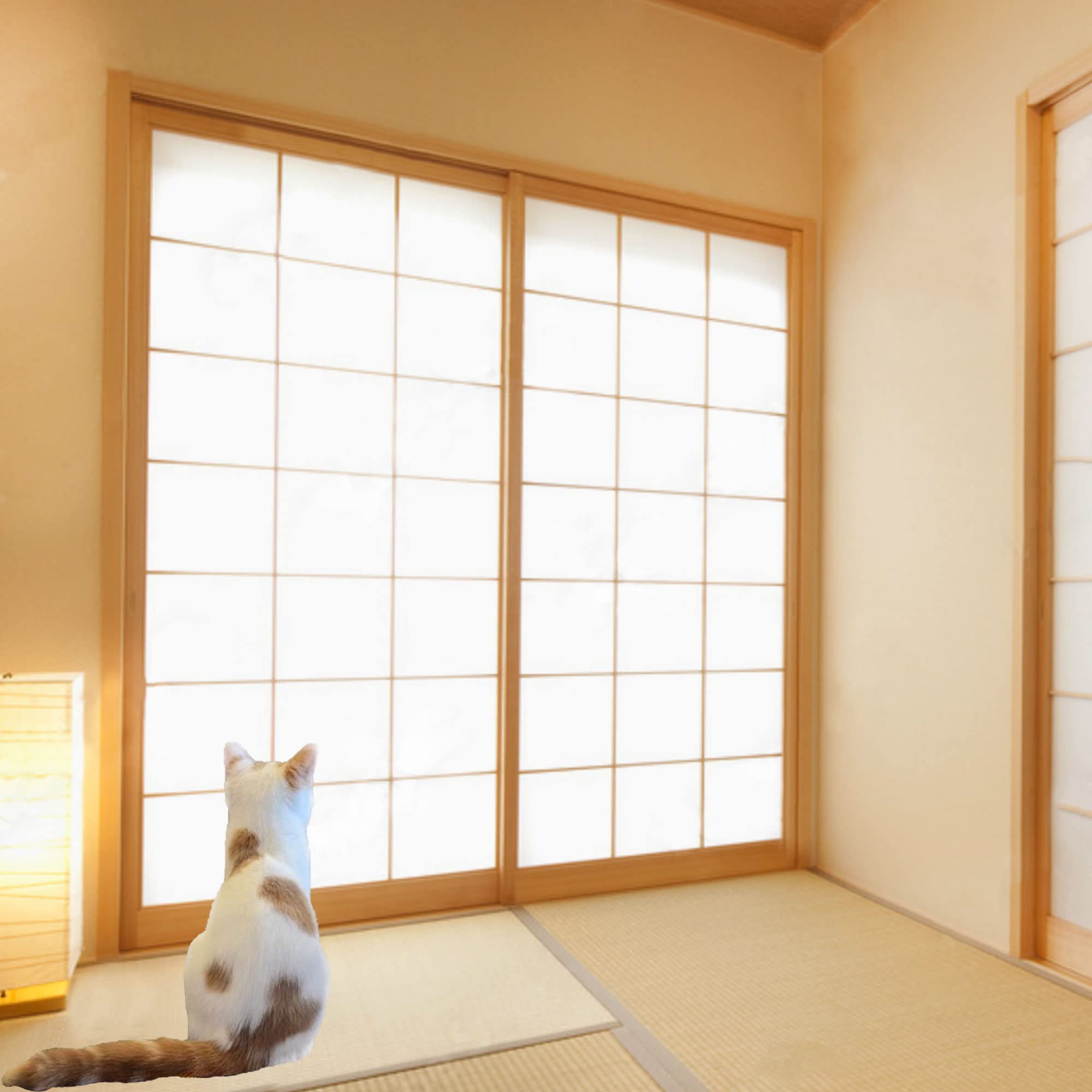 障子（ワーロン）品！！