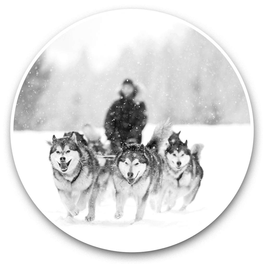 Destination Vinyl Ltd Bw Husky Sled Dogs Dog Austria 39173 2 X 7.5Cm Vinyl Stickers (Bw) - Husky Sled Dogs Dog Austria 39173