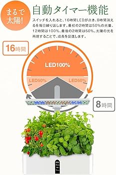 Amazon.co.jp: sezu 水耕栽培キット 野菜栽培セット 水耕栽培 育苗