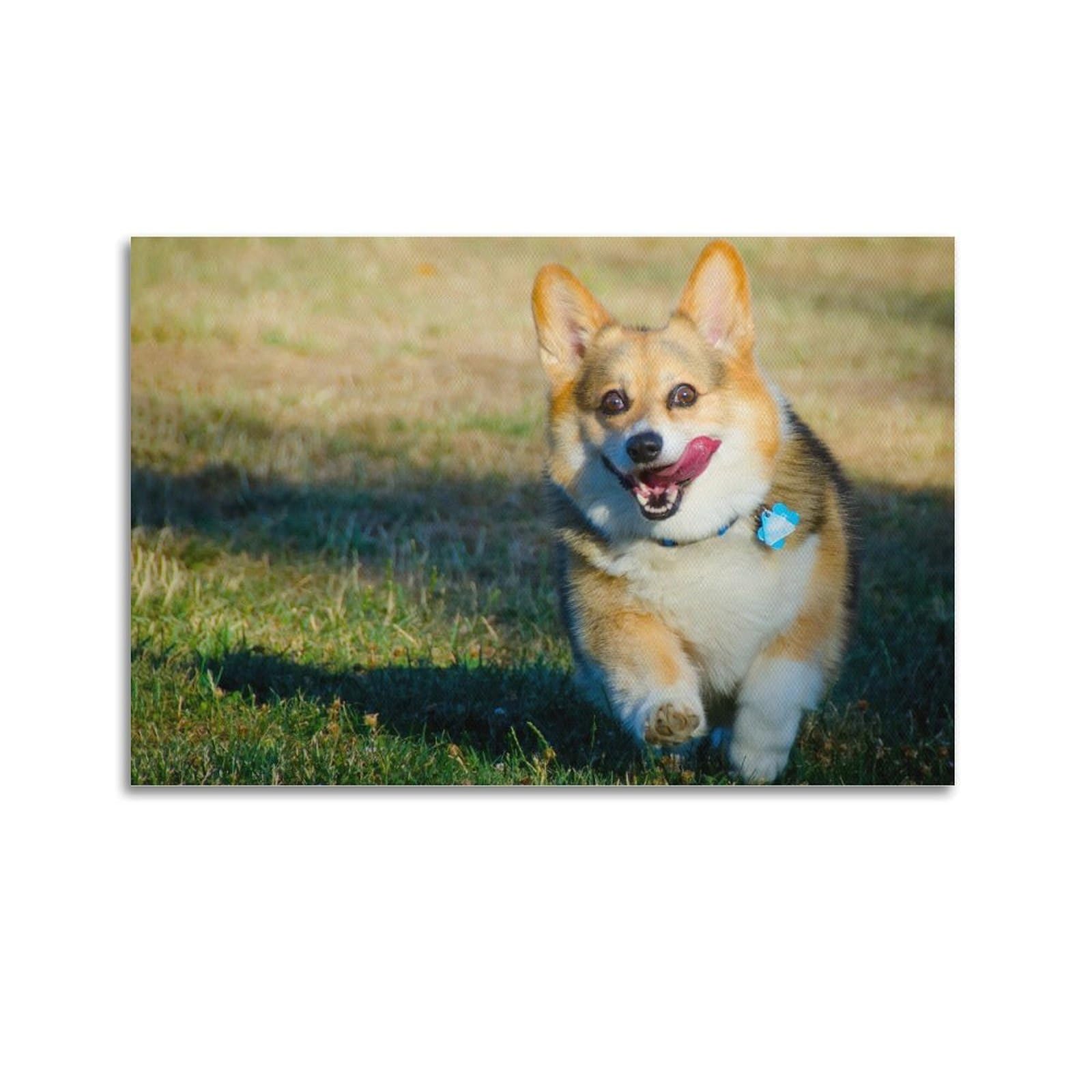 JTLFXY Animal Poster Swedish Vallhund Poster Decorative Painting Canvas Wall Posters And Art Picture Print Modern Family Bedroom Decor Posters 20x30inch(50x75cm)