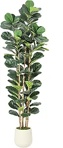 7FT Artificial Fiddle Leaf Fig Tree - Faux Rubber Tree with White Pot - Tall Fake Floor Plant with 107 Leaves - Artificial Plant for Home Decor Indoor Office Living Room