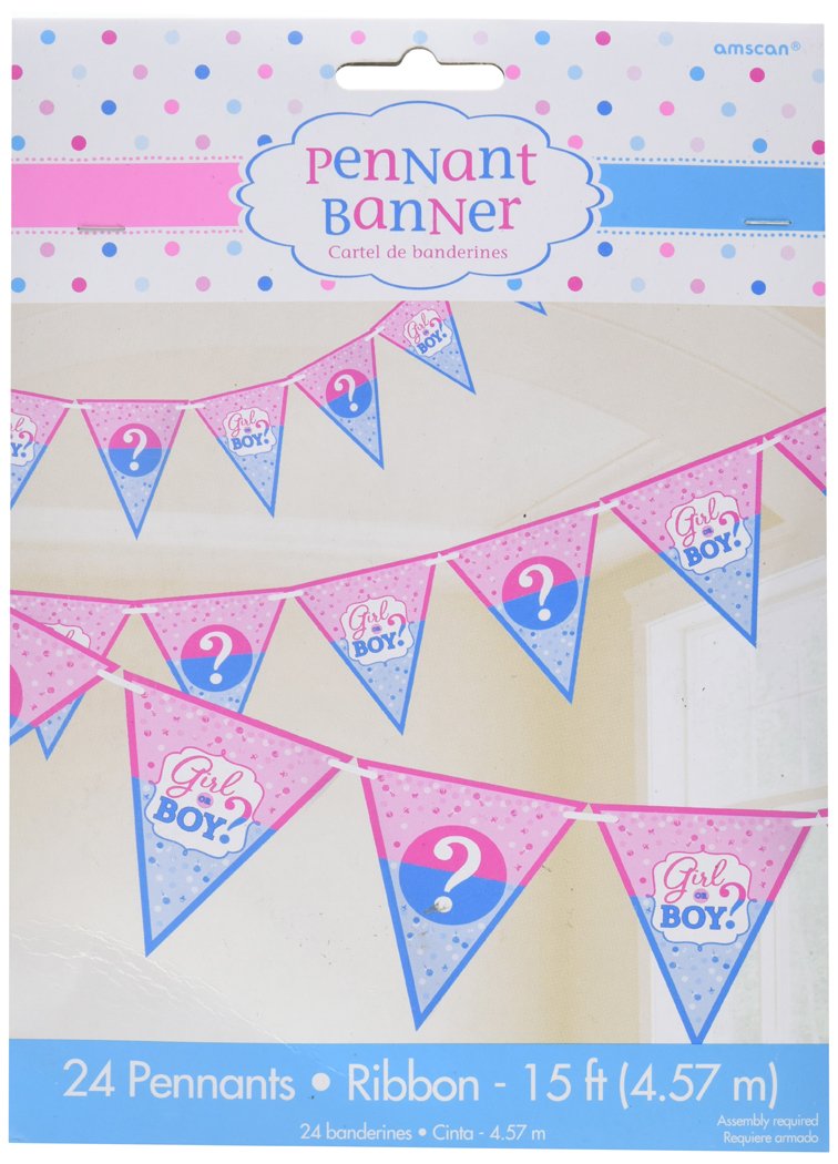 Amscan 120212 - Gender Reveal Party Girl or Boy Pennant Banner & Ribbon Decoration - 4.57m