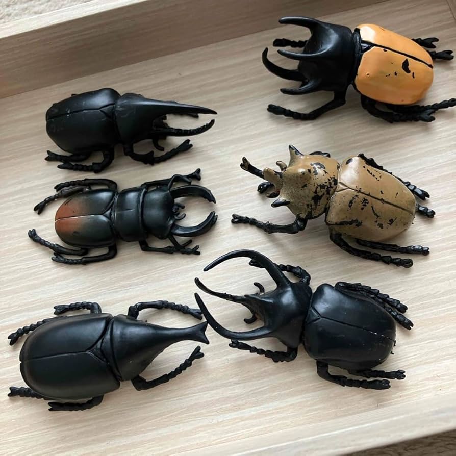 昆虫グッズ　まとめ売り Amazon.co.jp: セリア 発掘 甲虫コレクション カブト虫 クワガタ