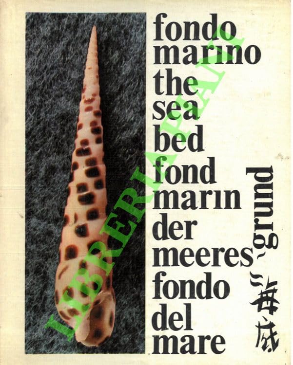  Fondo marino.