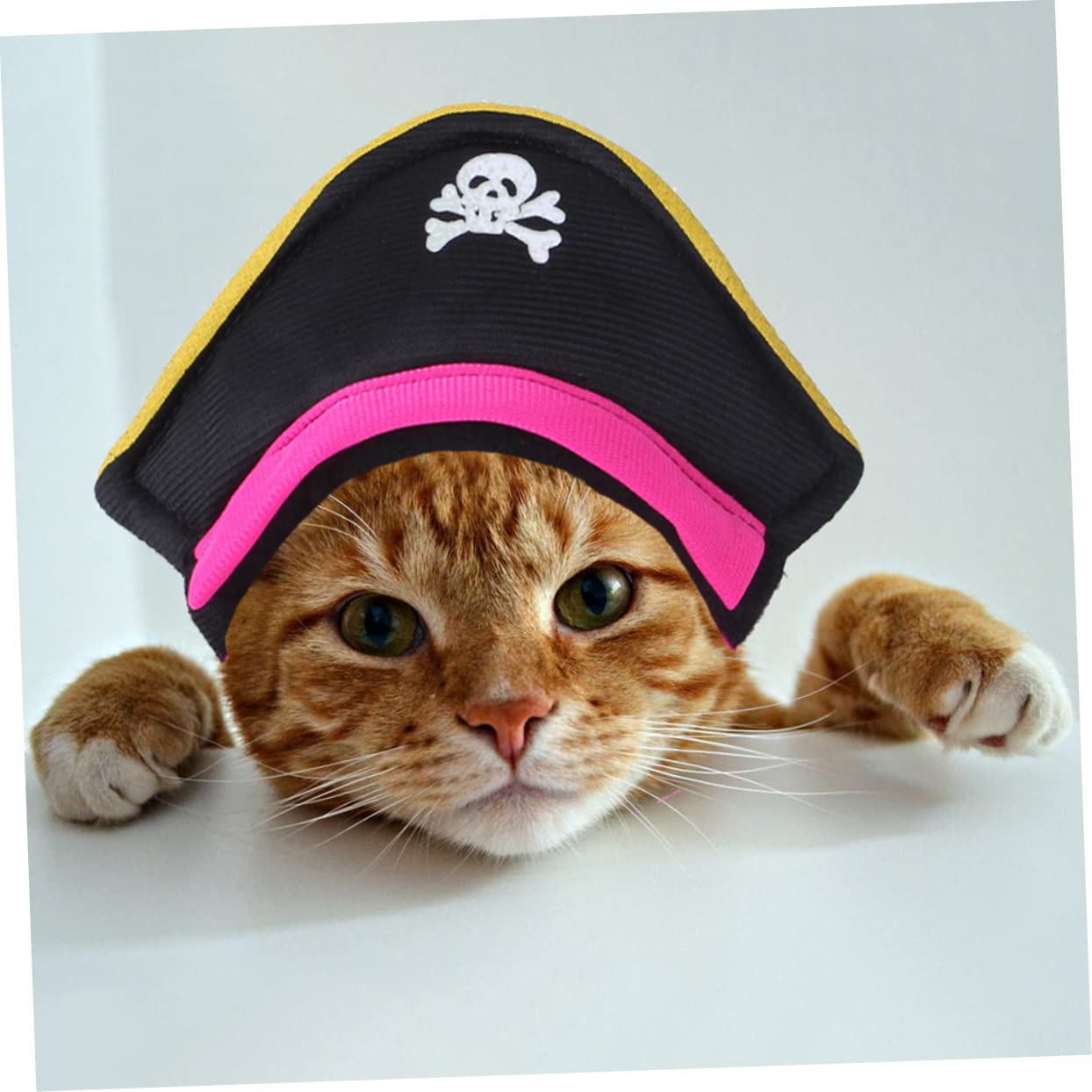 minkissy 3 Sätze Verwandlungskostüm für Haustiere Tragbares Hundekostüm verschleißfestes Katzenkostüm Hüte Kleider bequemes Katzenkostüm Verschleißfestes Hundekostüm Haushalt Hundemütze Hut