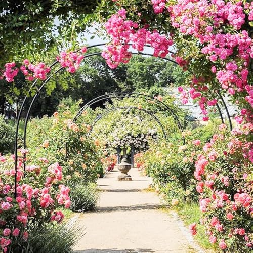 Arco de jardín de metal blanco regulable, enrejado para plantas y bodas 6