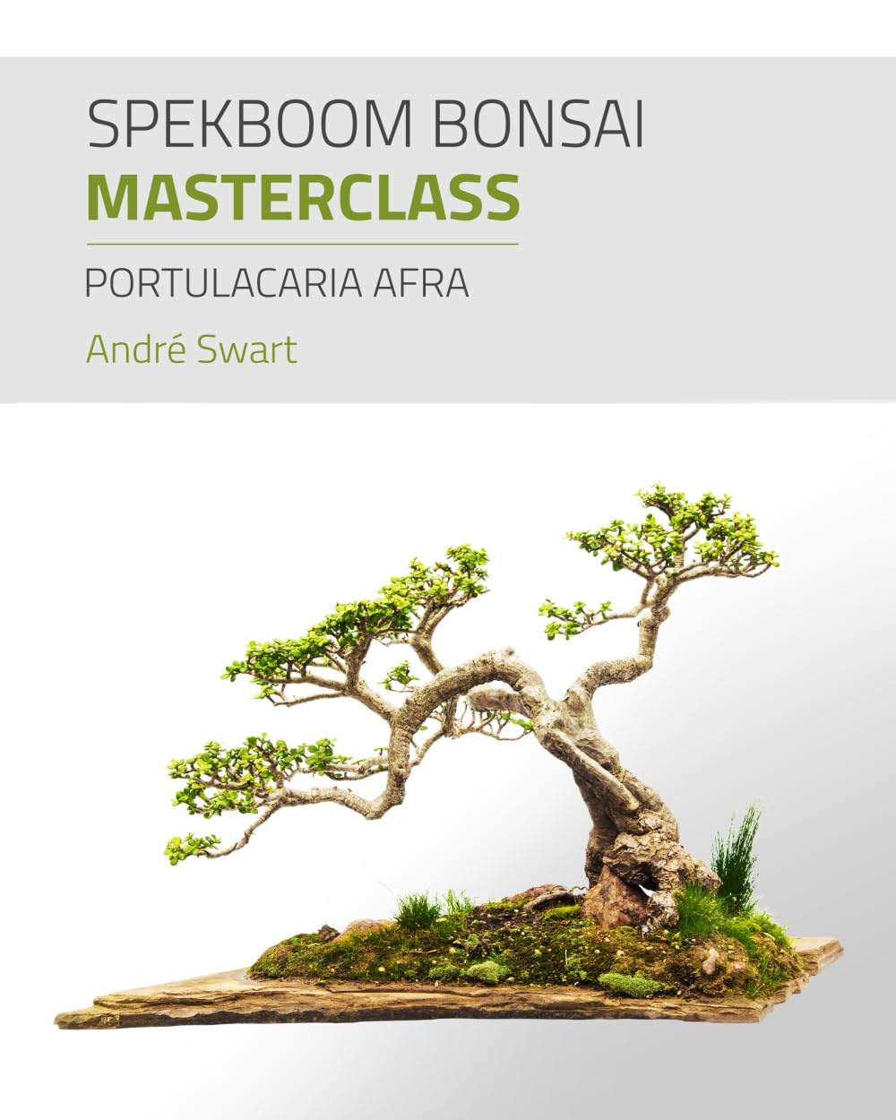Spekboom Bonsai Masterclass: Portulacaria Afra