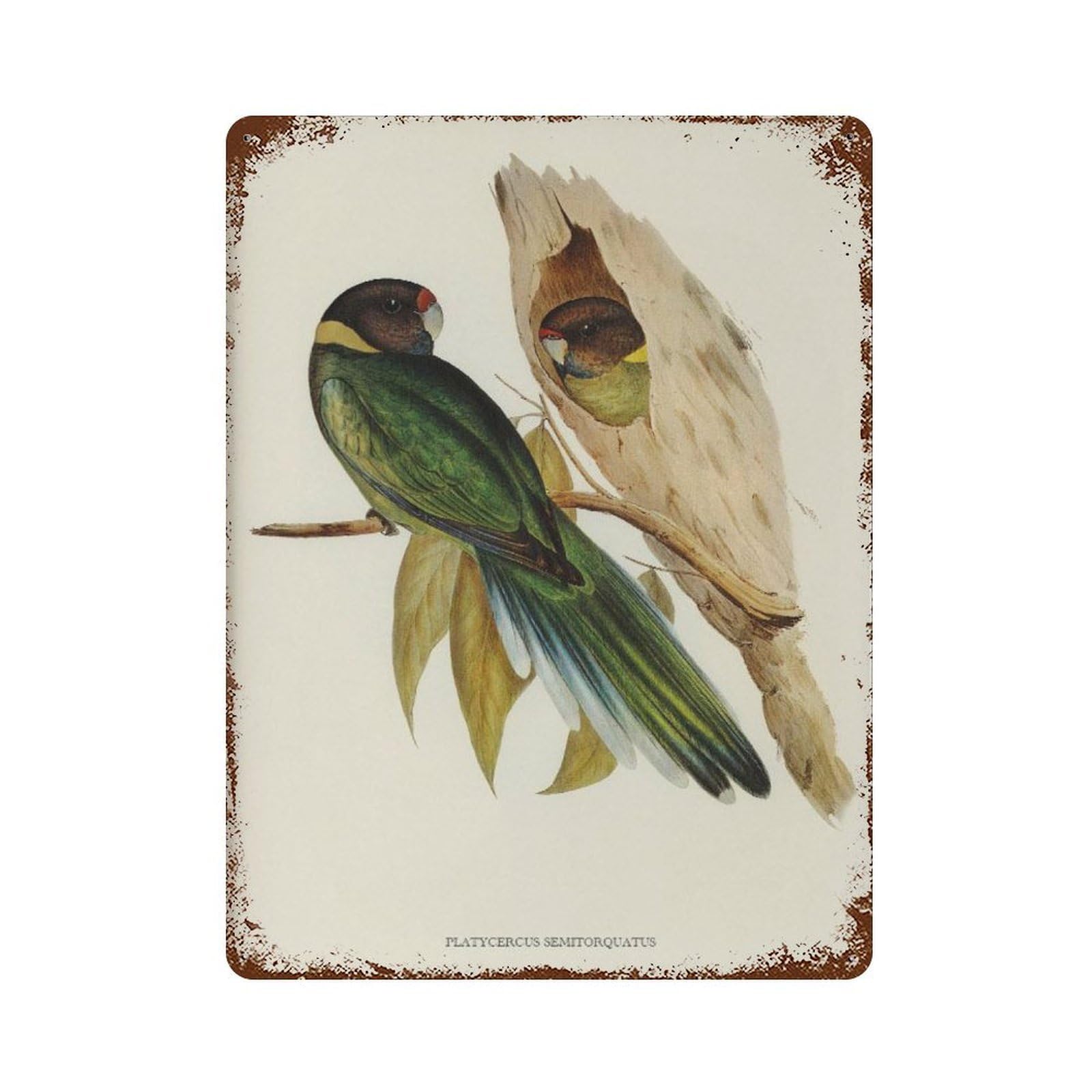 xiaoxiaoshen Vintage Bird Yellow Wall Decor Art Metal Tin Poster Modern Home Decor Art Home Bar Shop Decorations Vintage Sign 40x30cm