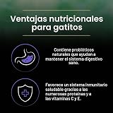 Ver la foto 7