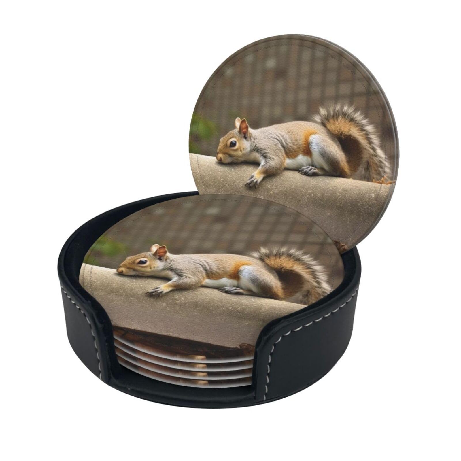 Stylish Coasters - Squirrel Just Laying Set of 6 Round Leather Drink Coasters with Holder - Perfect Size for Cups and Glasses