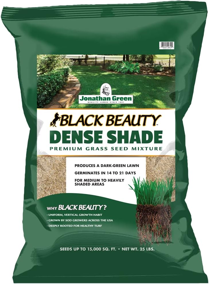 Black Beauty Dense Shade Grass Seed