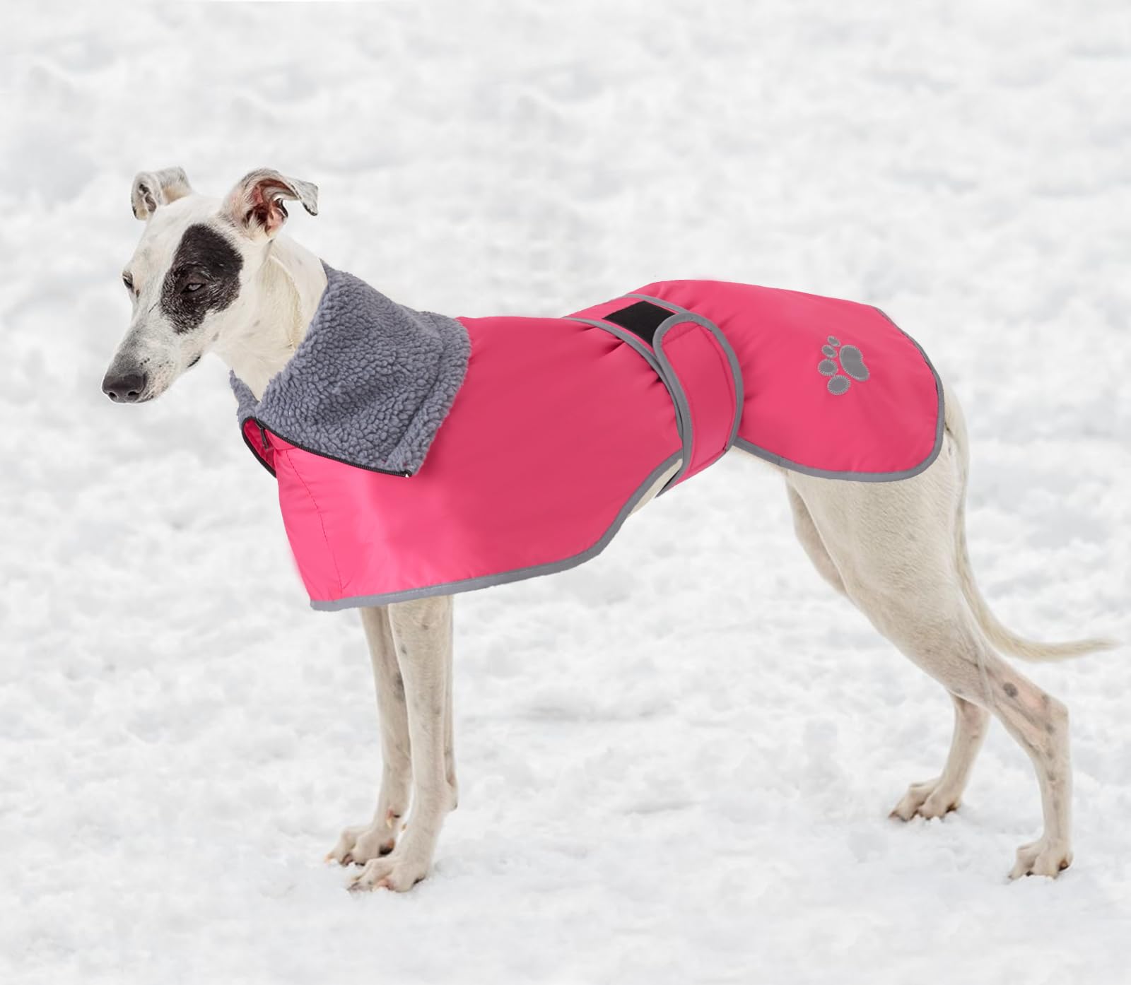 Geyecete Abrigo Invierno Impermeable para Perro Galgo, con Forro Polar cálido y Agujero del arnés, Térmico Chaquetas Ideal para Uso al Aire Libre, Perros medianos y Grandes-Rosa-L
