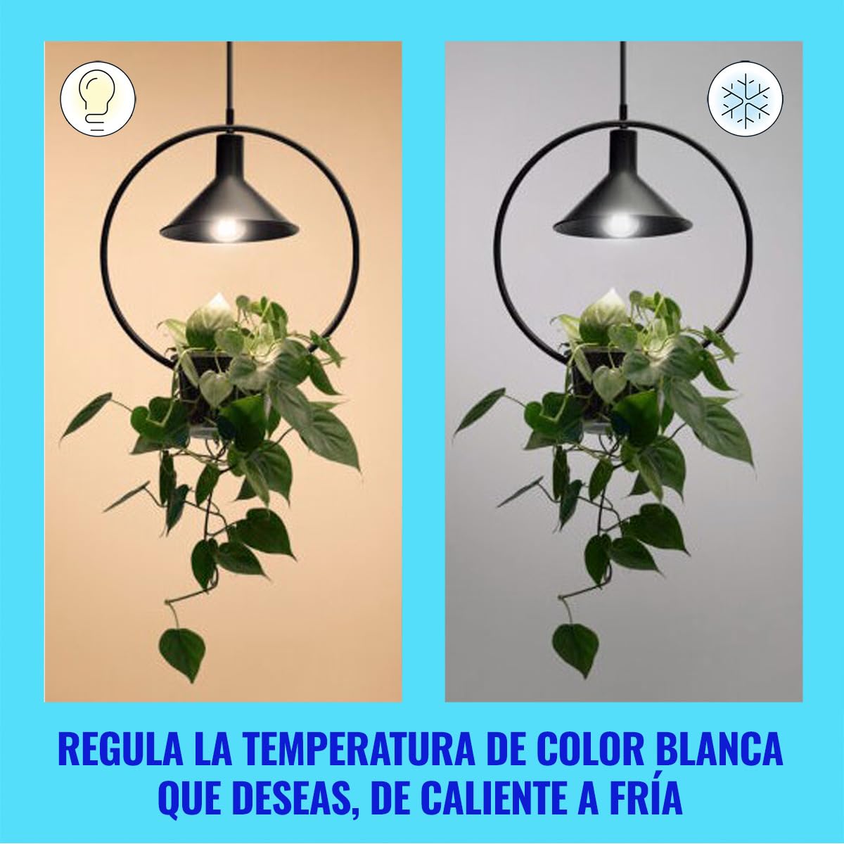 WiZ - Bombilla LED inteligente, E27, clase A (ahorro de energía), conécta via Wi-Fi, tecnologia SpaceSense y Matter, compatible con Alexa