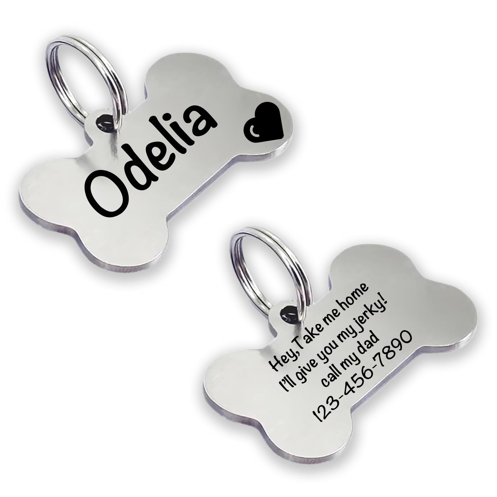 Chapa Identificativa Perro, Placa Perro Personalizada, Chapa Perro Grabada, Ideal para Grabar su Nombre y tu Contacto, Chapa para Perro y Gato Medianos a Grandes (plata)