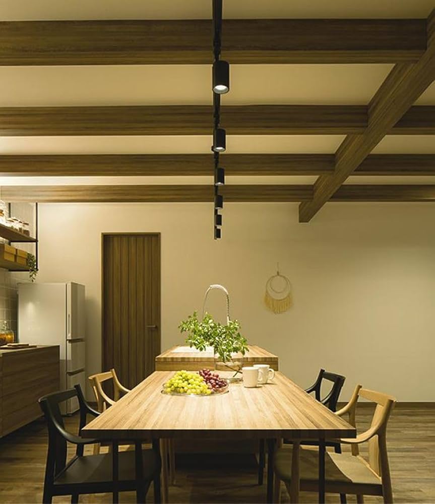 8個　コイズミスポットライト ブラック LED対応　ダクトレール用　8個 8個 コイズミスポットライト ブラック LED対応 ダクトレール用 8個