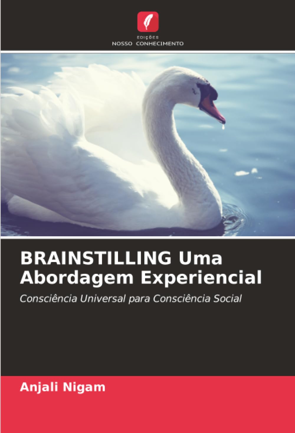 BRAINSTILLING Uma Abordagem Experiencial: Consciência Universal para Consciência Social