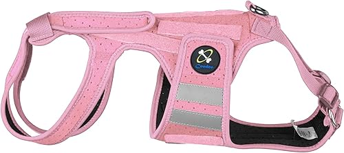 Vista 12 de Coodeo Soporte de espalda para perros para artritis, soporte de espalda para mascotas para IVDD, protector de espalda ayuda a aliviar el dolor