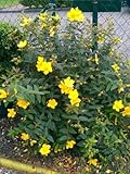Plantenwelt Wiesmoor