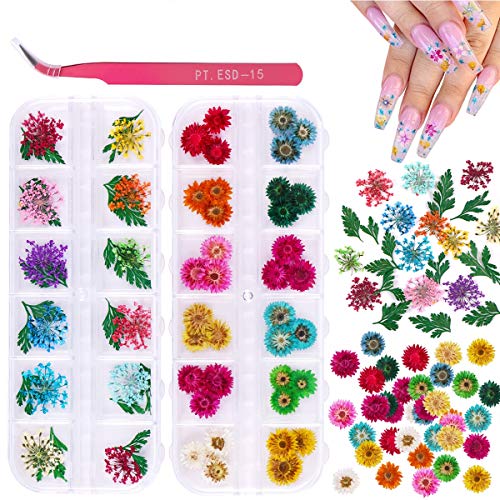 2 Boxes Dried Flowers for Nail Art, KISSBUTY 24 Colors Dry Flowers Mini Real Natural Flowers Nail Art Supplies 3D Applique Nail Decoration Sticker for Tips Manicure Decor (Gypsophila Leaves Daisy)