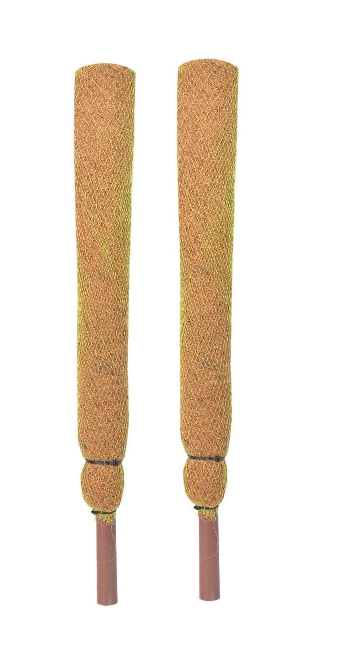 COIR GARDEN Coir Moss Stick for Plant Support, 61 cm, 2 Pieces (B07MGM9YCQ) Amazon Price History, Amazon Price Tracker