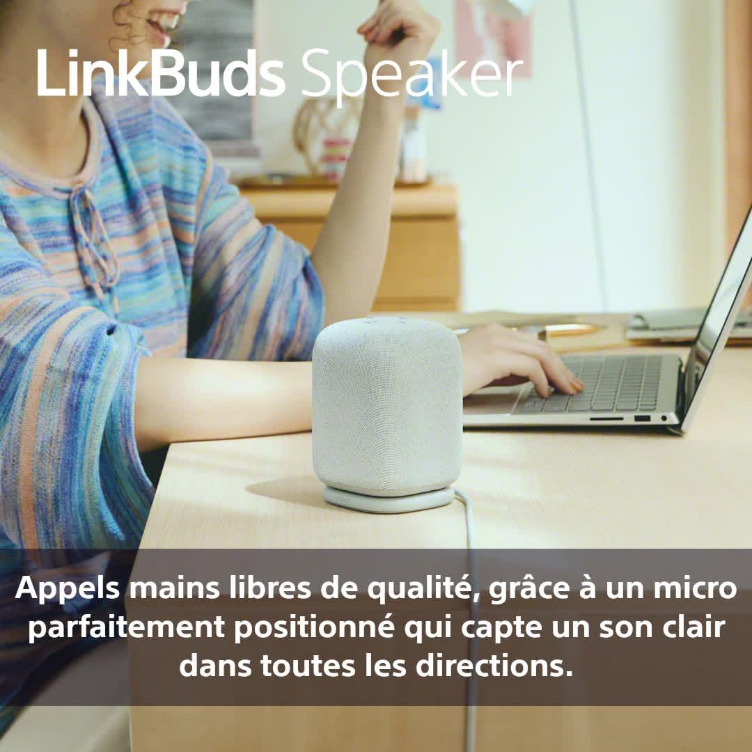 Sony Enceinte LinkBuds - Enceinte Portable sans Fil Bluetooth, IPX4, Résistante à l'eau, Batterie de 25 Heures, Qualité d'Appel Clair, Outdoor, Voyage - Noir