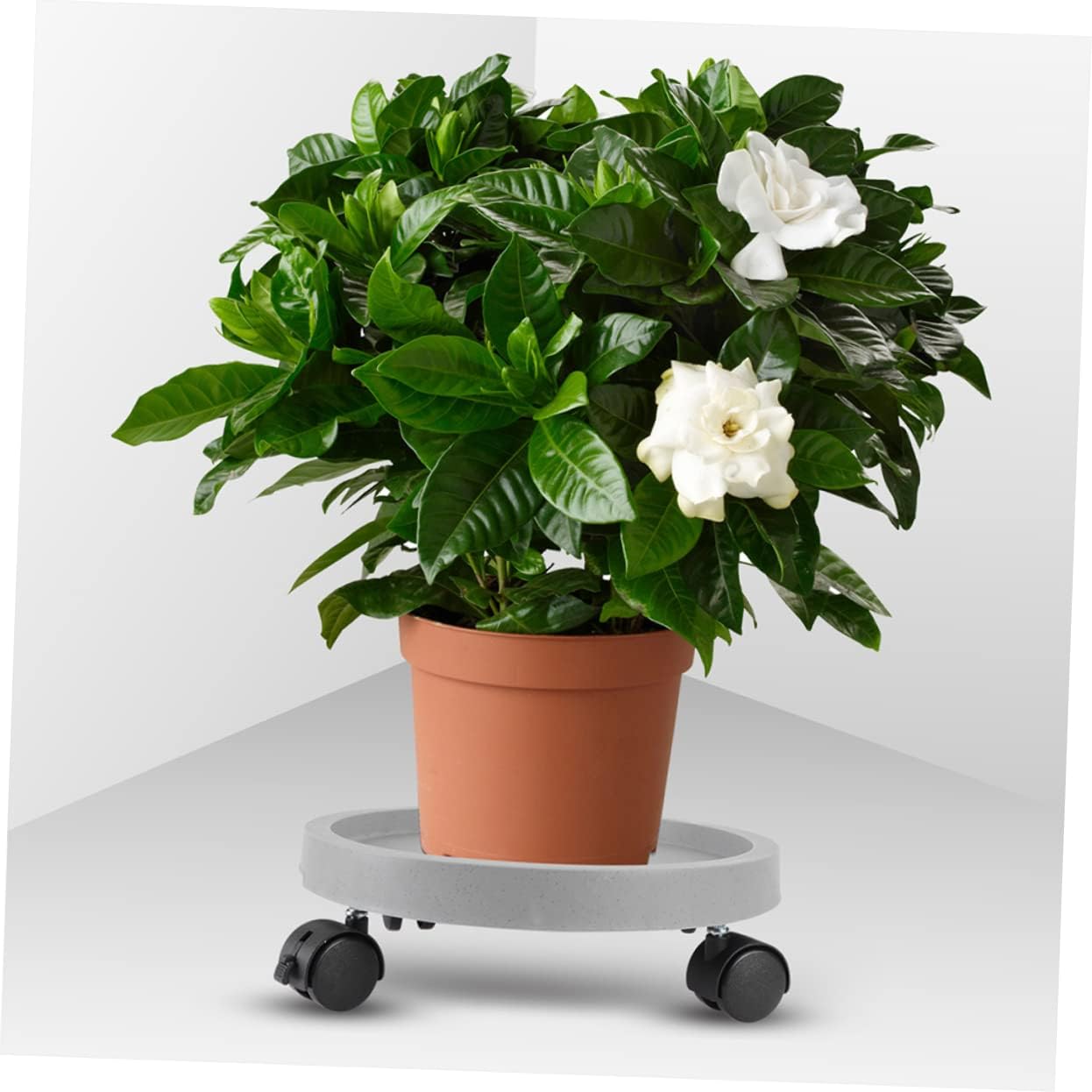 Flowerpot Tray with Water Catcher Mobile Plant Pot Saucer for Use Easy to Clean and Store for and Bonsai Pots