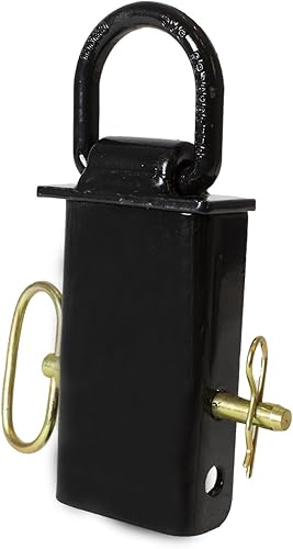 Buyers Products B38SP anillo en d (anillo en d, bolsillo de estaca, revestimiento de polvo negro)