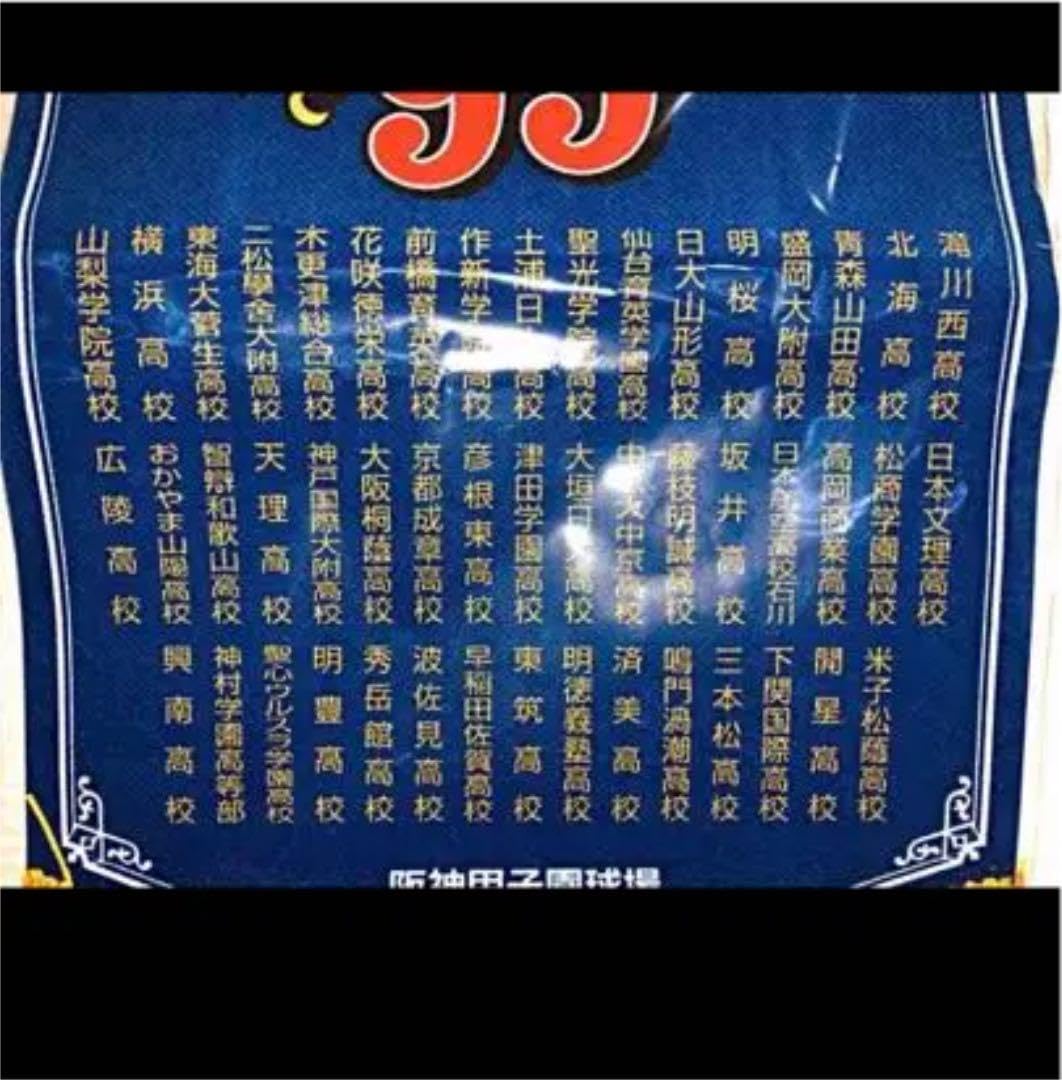 Amazon.co.jp: 高校 野球 出場校 タペストリー #甲子園#グッズ