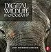 Digital Wildlife Photography