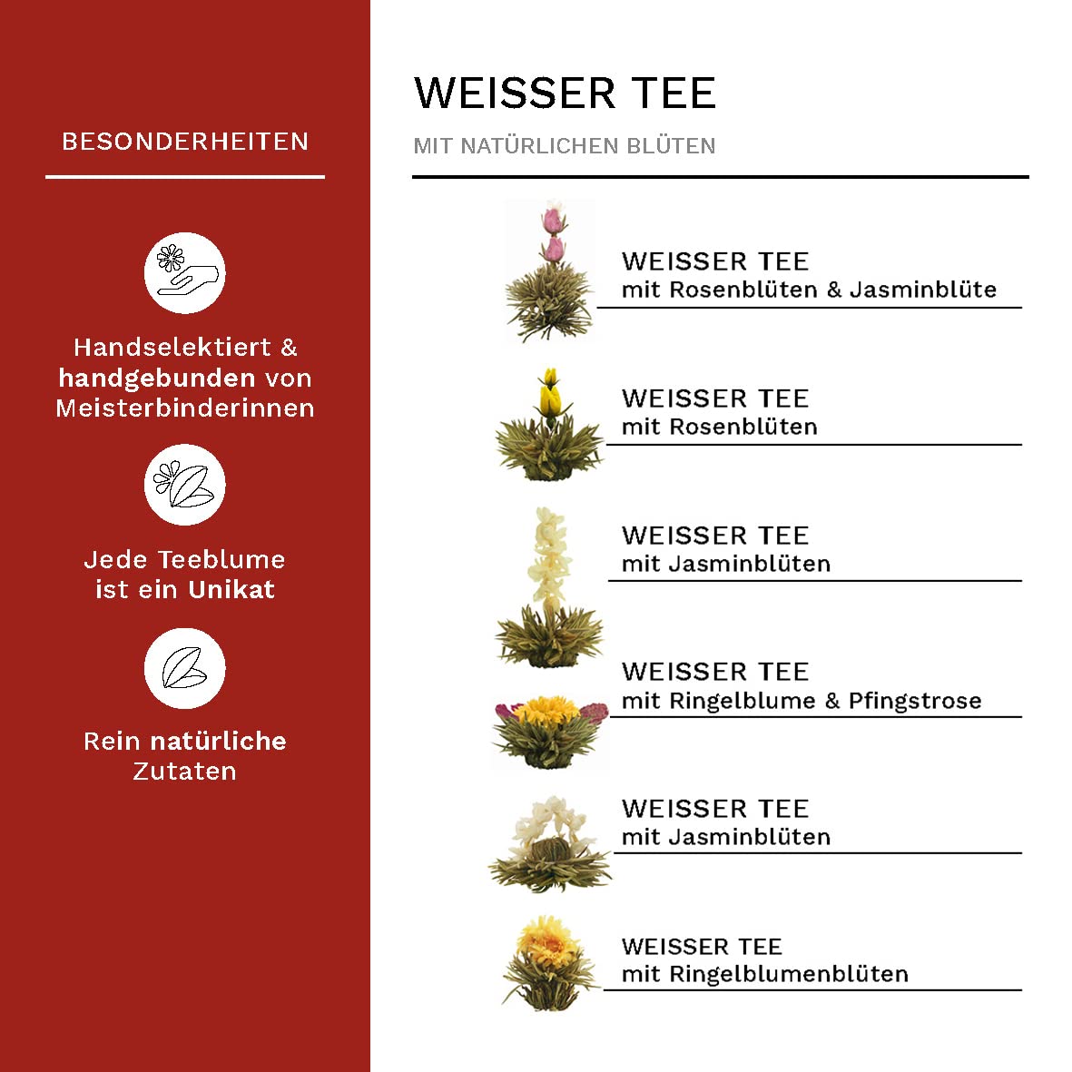 Creano Teeblumen 36 Teekugeln weißer Tee Großpackung, Erblühtee im Bulkpack, Teerosen, Blooming Tea, Flowering Tea