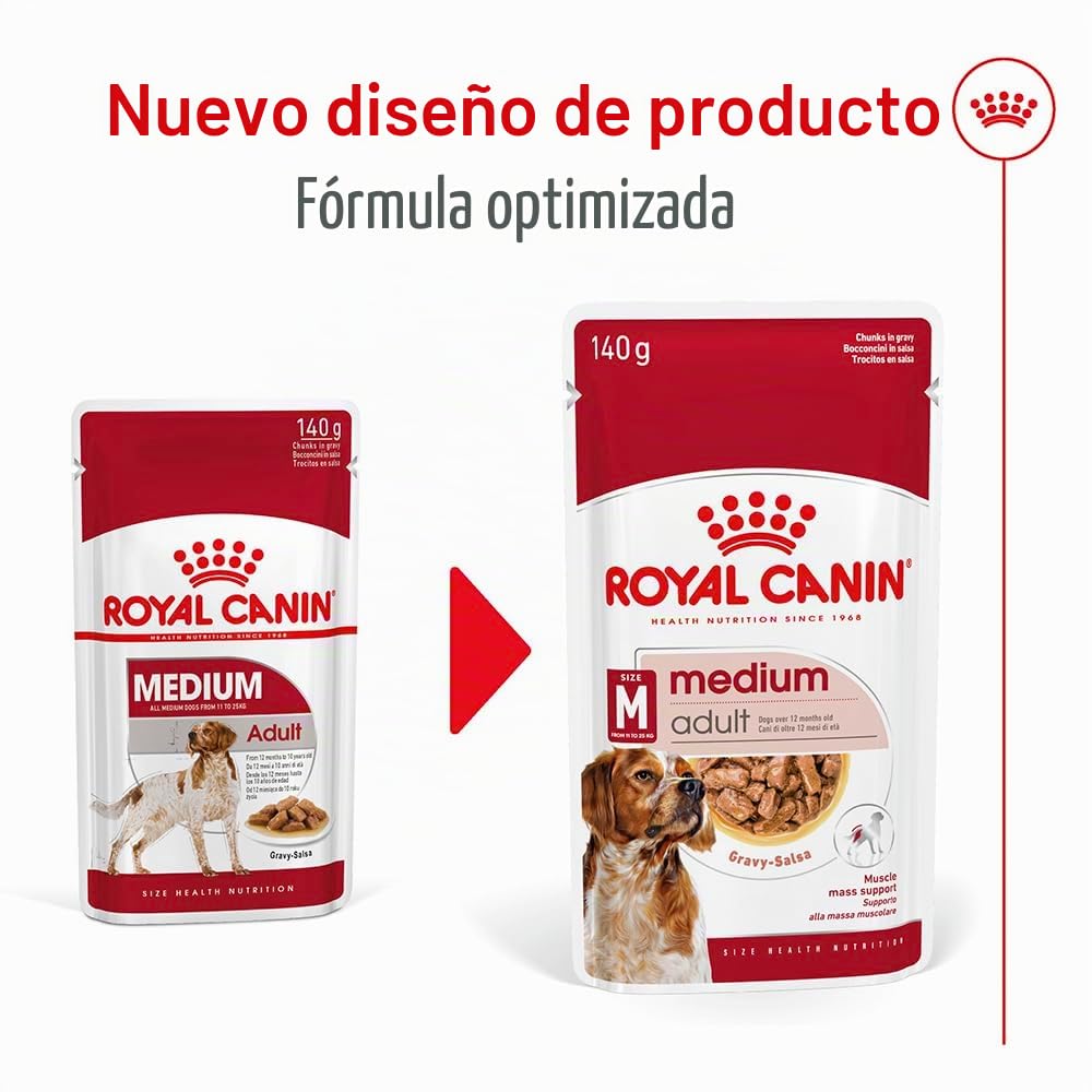 Royal Canin Medium Adult | 10 x 140 g | Alimento completo para perros adultos medianos de 11 a 25 kg | De 12 meses a 10 años