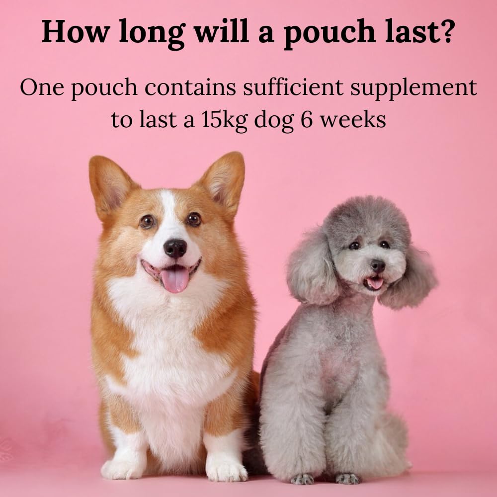 Dog Heart & Respiratory Supplement, White - Image 4