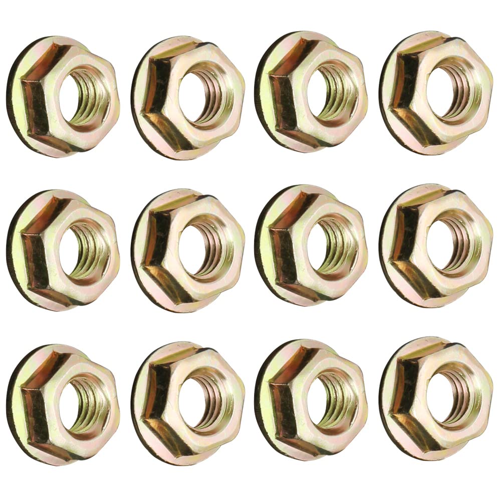 Amazon.com: Realman 12pcs 0020214 Guide Bar Flange Nuts For Solo  