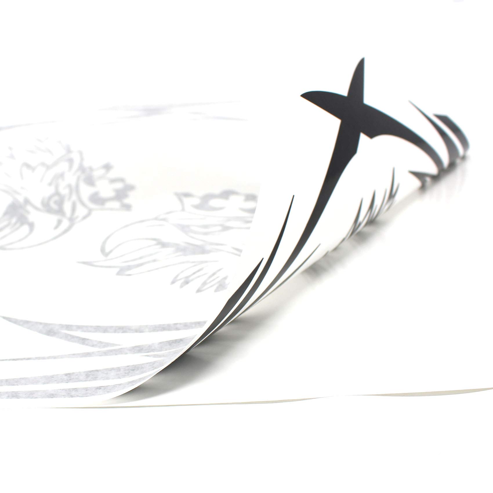 Adesivo Decorativo Per Finestra Camion - Motivo Grifone - Foto 4