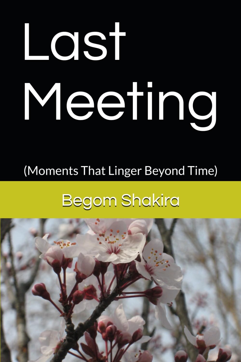 Last Meeting: (Moments That Linger Beyond Time)