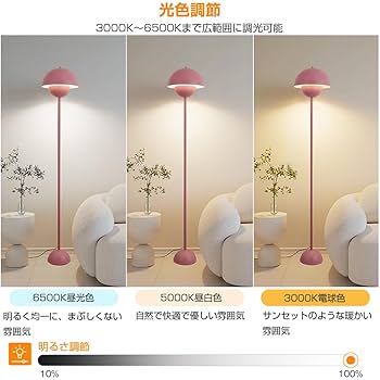 フロアスタンド yyyyt Amazon.co.jp : LEDフロアライト フロアランプ リモコン付き