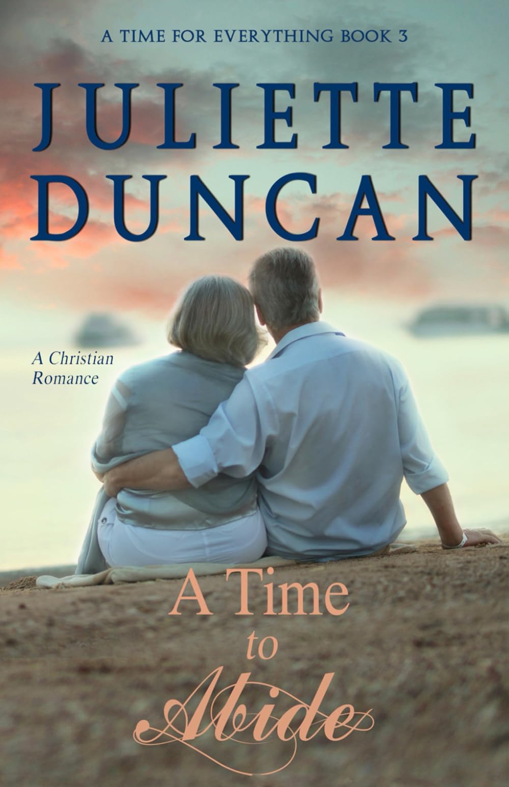 A Time to Abide: A Christian Romance: 3 (A Time for Everything)