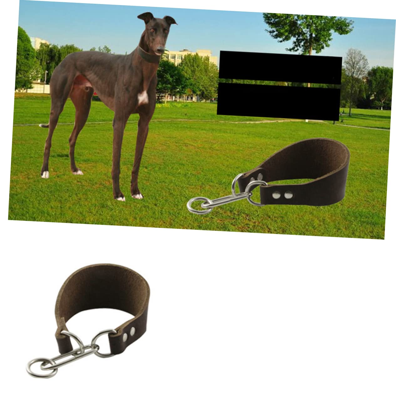INOOMP 3stücke Fashion Widen Cattlehide Hundehalsband Haltbares Dünnes Nackengurt Mit Schnalle Für Whippet Und Hunde Mit Dünnem Hals Kaffee