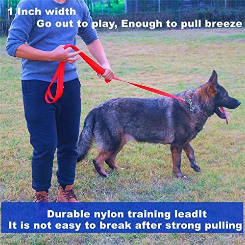 Siumouhoi Strong Durable Nylon 10ft Long Dog Training Leash, Traction Rope, 1 Inch Wide, for Small and Medium Dog (Black, 10 Feet) - 4
