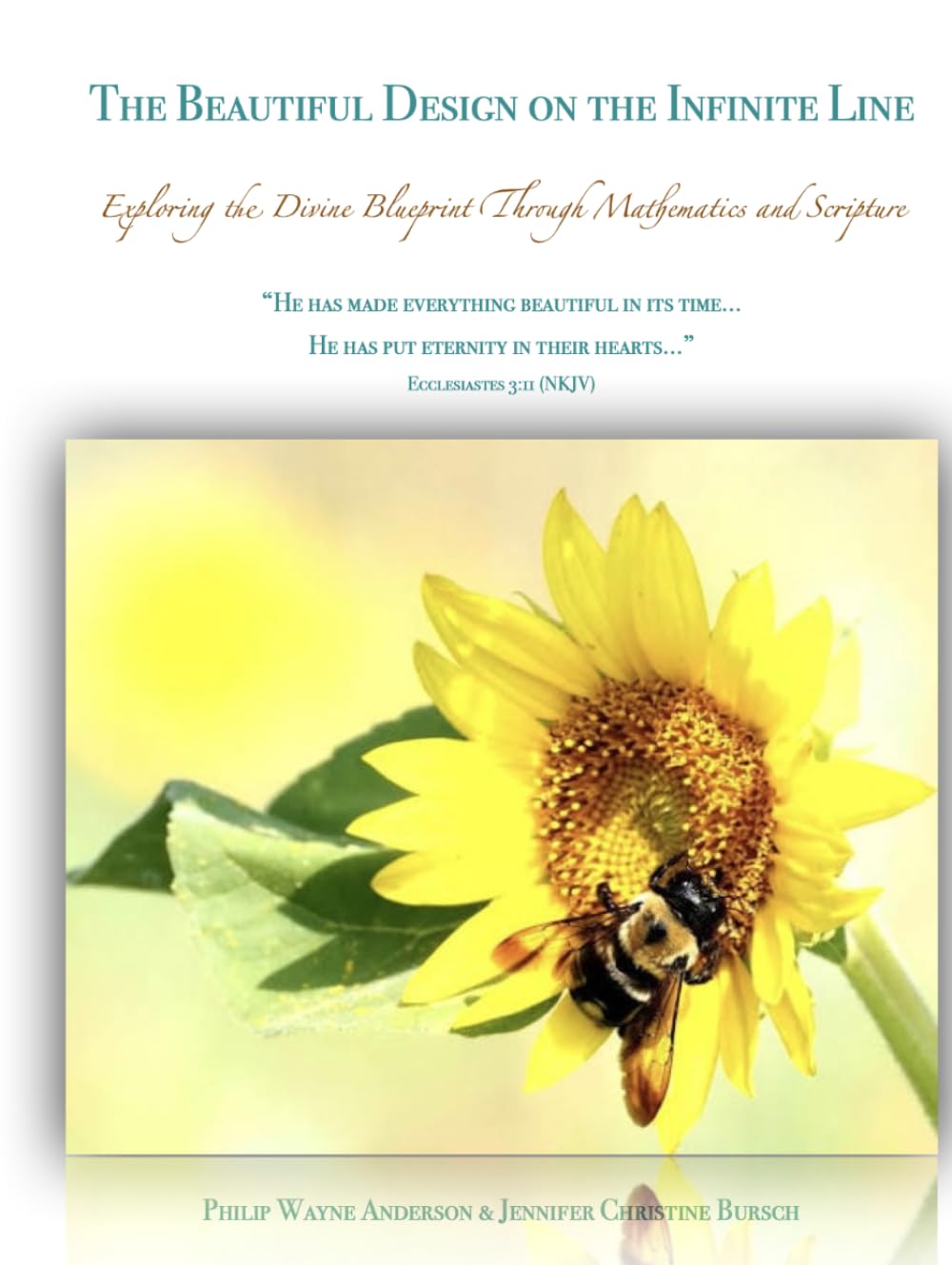The Beautiful Design on the Infinite Line [8 1/2 X 11]: Exploring the Divine Blueprint Through Mathematics and Scripture (The Beautiful Design on the ... Blueprint Through Mathematics and Scripture)
