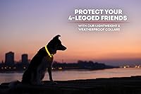 Vista 6 de Collar para perros LED Illumiseen, recargable por USB, Amarillo (Sunburst Yellow)