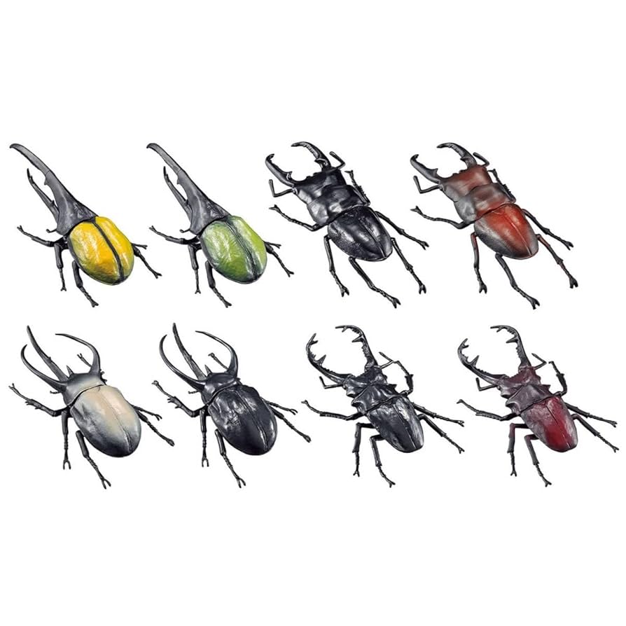 パラワンオオヒラタ ヘラクレス 標本 Amazon.co.jp: パラワンオオヒラタ98mm標本シーラケース付き