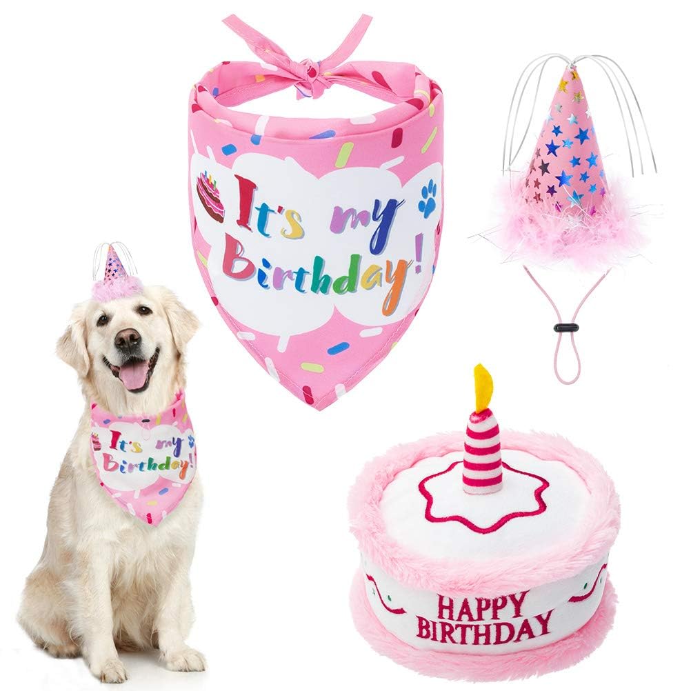 EXPAWLORER Dog Birthday Bandana Set - Cute Hat and Squeaky Cake Toy for Birthday Party Supplies Gift - Great for Small Medium Large Dogs Blue