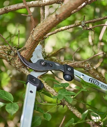 Miniatura 3 de FELCO F211-60 Podadoras de fabricación suiza para jardinería  Cortadoras de precisión ligeras de 24 pulgadas para podar árboles  Cortadores de ramas