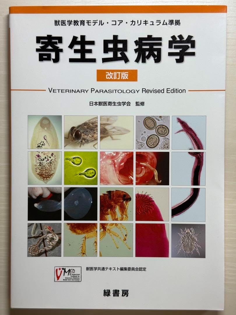 正絹襦袢 グレート琴 おまとめ 正絹 襦袢 反物 宝づくし 花 2本セット