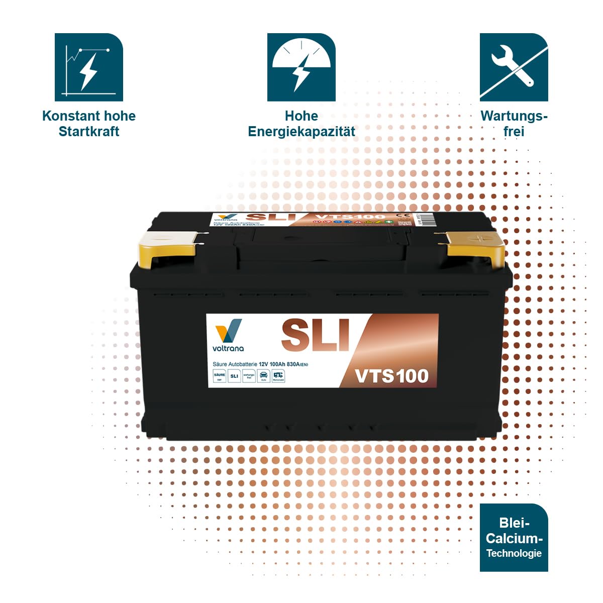 SLI Autobatterie 100Ah 12V 830A VTS100 H8/LN5/L5