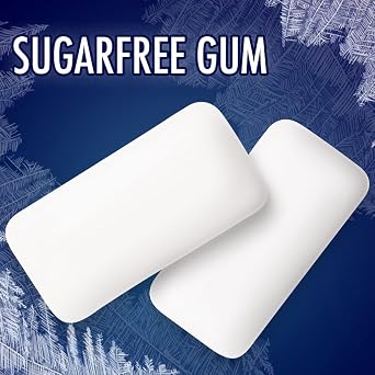 ECLIPSE Winterfrost Sugarfree Gum, 8.8-Ounce 180 piece bag