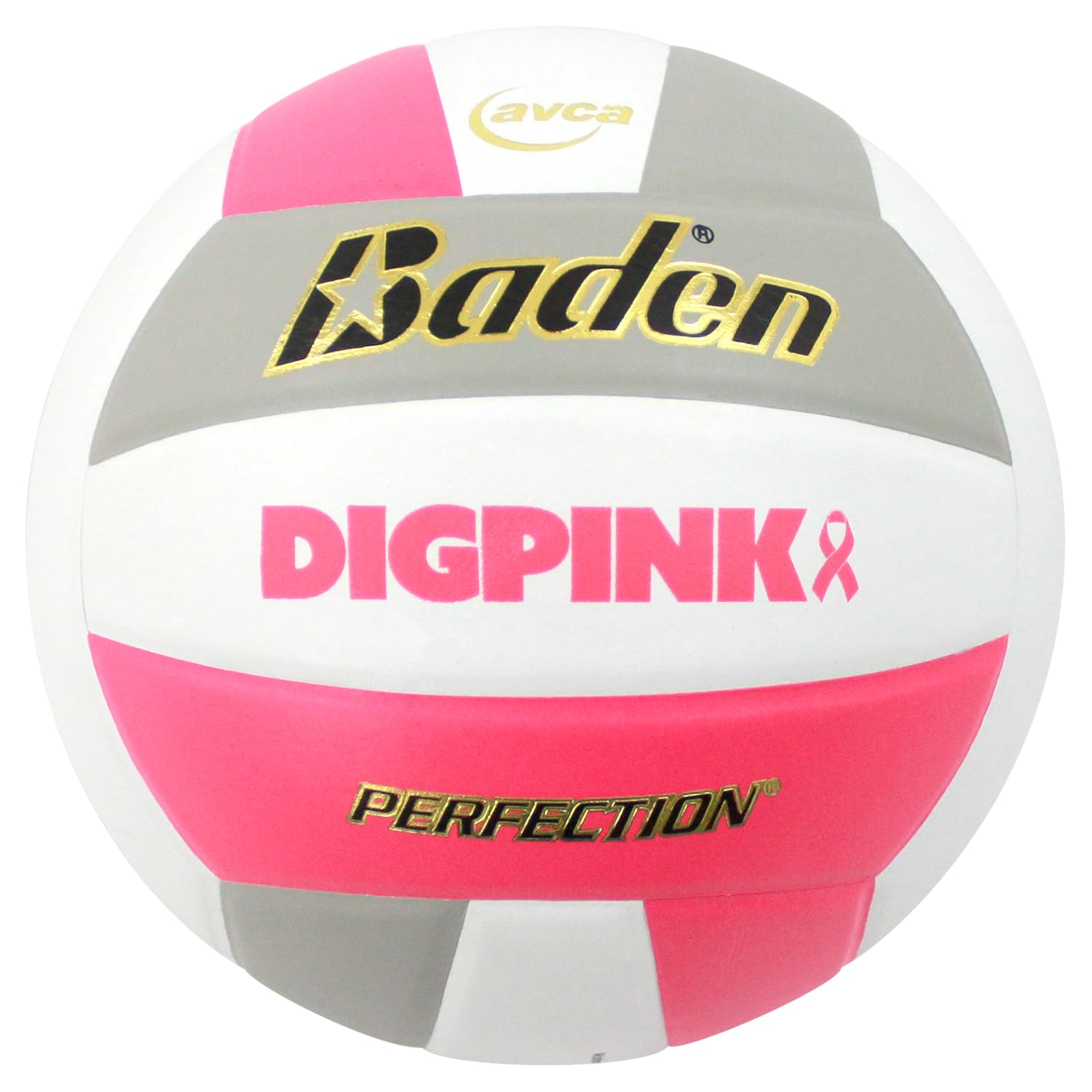 Baden | Perfection | Premium Leather | Indoor Official Game Volleyball | 13U to College | Official Size + Weight | NFHS + AVCA Approved