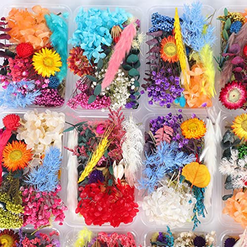 2 Cajas Flores Secas Naturales, Flores Secas para Resina, Flores Secas Manualidades, Flores Secas Múltiples Mixtas, Flores Secas Prensadas, para Manualidades, Velas, Álbumes de Recortes, Tarjetas Cover
