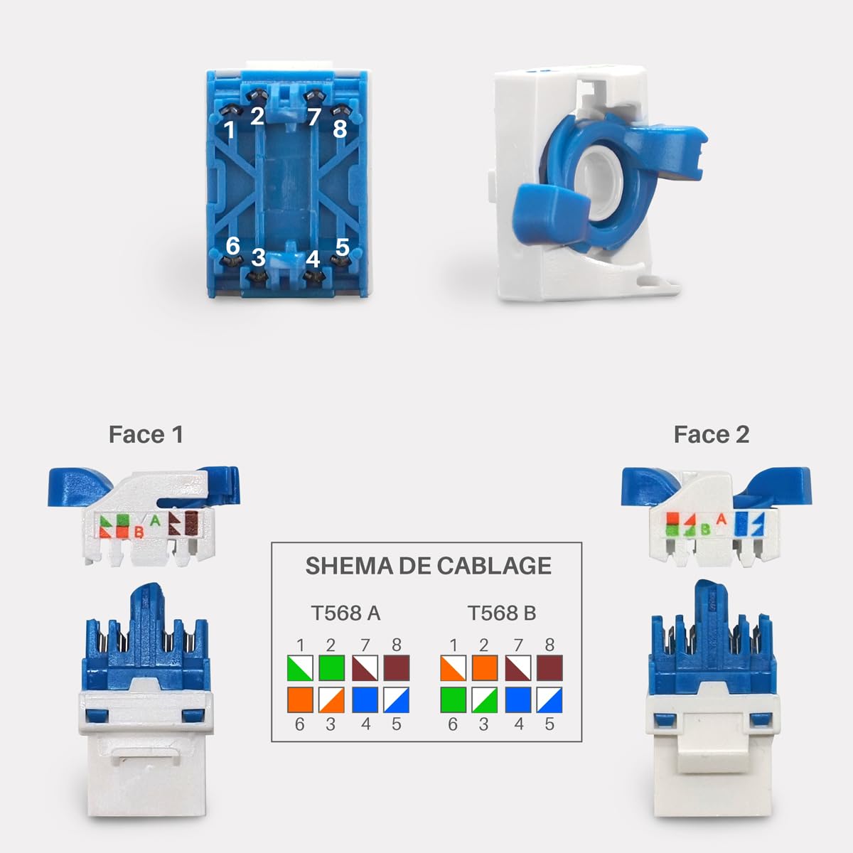 Waytex Keystone RJ45 Short Cat6a UTP senza attrezzi - Connettore di rete da 10 Gbps 500 MHz - T568A/B - AWG22 a 26-24 pezzi